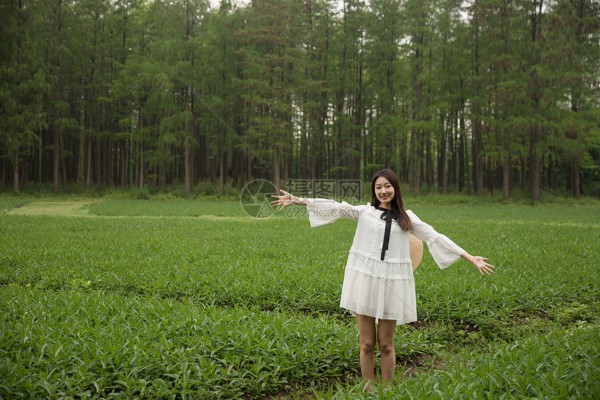 品味武汉,从一杯好茶开始——探店攻略大公开! 品味武汉,从一杯好茶开始——探店攻略大公开!